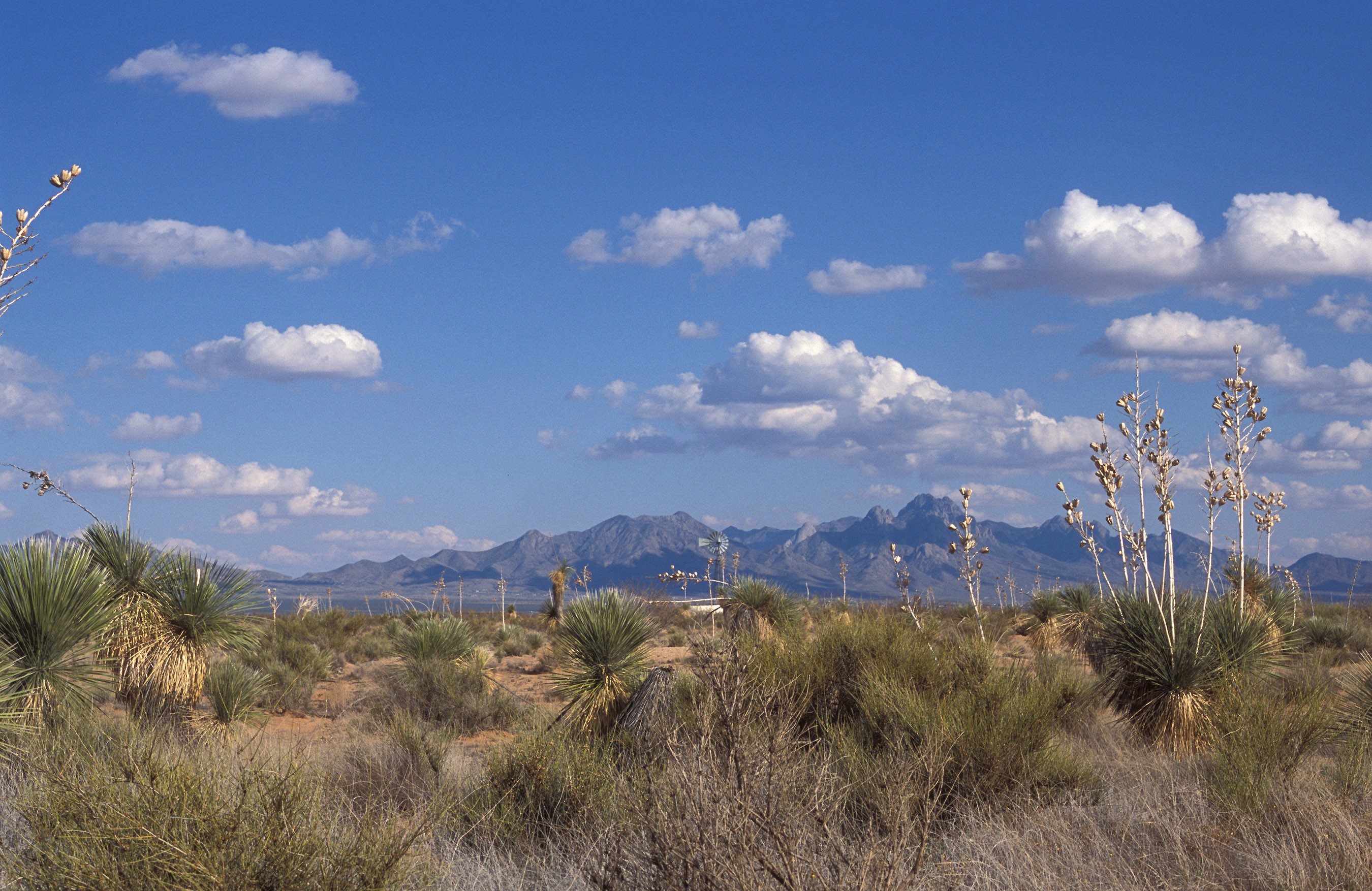 A New Mexican landscape before a mountain range and a blue sky filled with puffy white clouds.