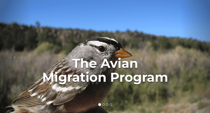 Avian-Program-FTR.png