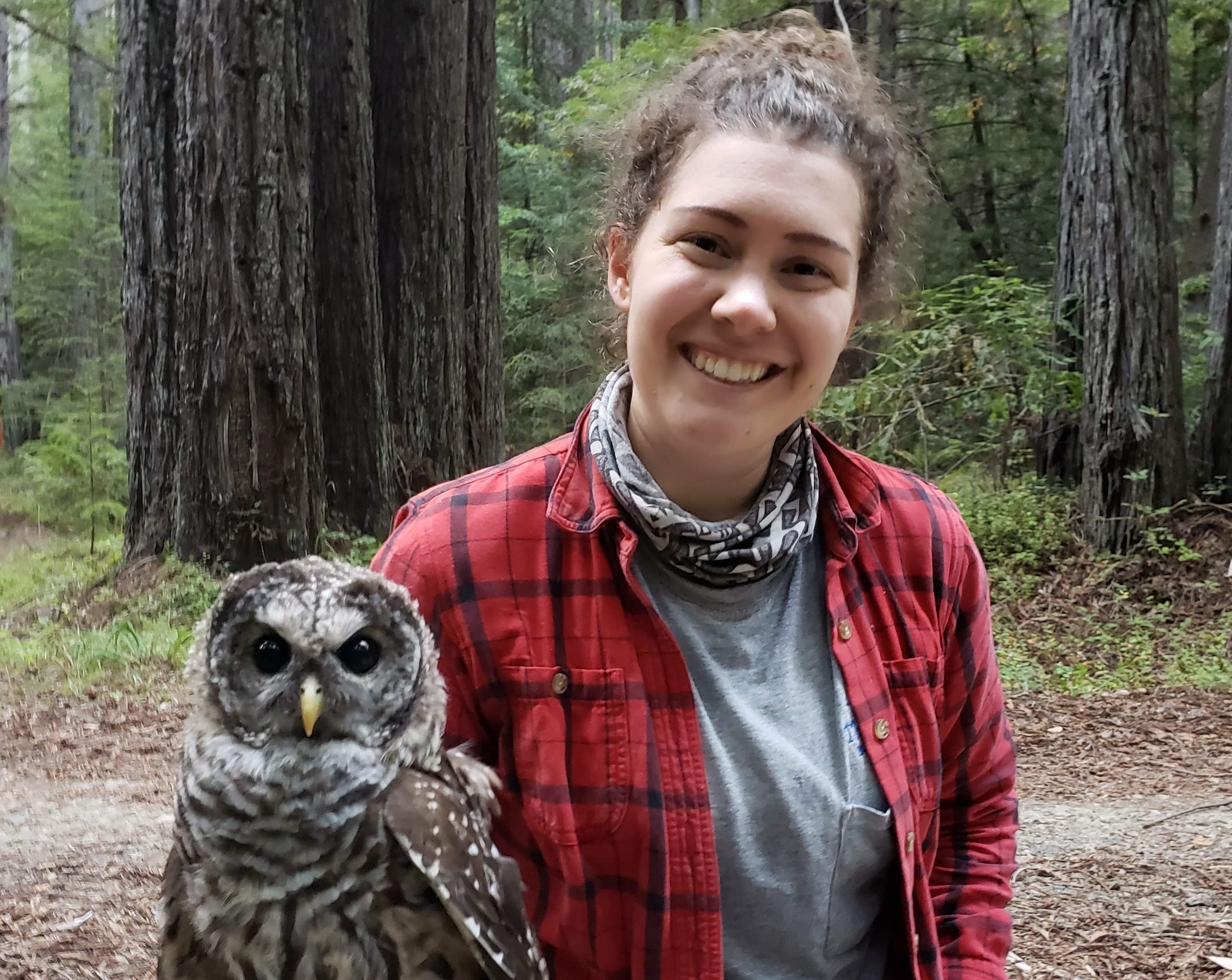 Whitney Watson sitting cross-legged on a forest floor holding an owl.